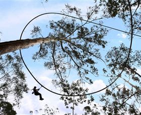 TreeTops Crazy Rider - Kingaroy Accommodation 0