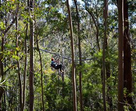 TreeTops Crazy Rider - Kingaroy Accommodation 3