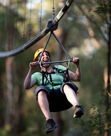 TreeTops Crazy Rider - Kingaroy Accommodation 2