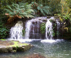 Barrington Tops National Park Walks - Kingaroy Accommodation 0