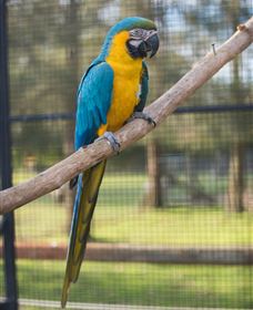 Amazement Farm And Fun Park / Cafe And Farmstay Accommodation - Kingaroy Accommodation 8