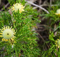 Illawarra lookout walking track - Kingaroy Accommodation