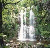Budderoo National Park - The Falls Walk - Kingaroy Accommodation
