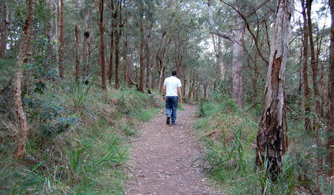 Lake Macquarie State Conservation Area - Kingaroy Accommodation 3