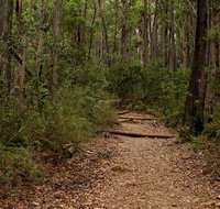 Pigeon House Mountain Didthul walking track - Kingaroy Accommodation