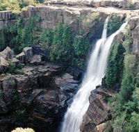 Minnamurra Rainforest Centre Budderoo National Park - Kingaroy Accommodation