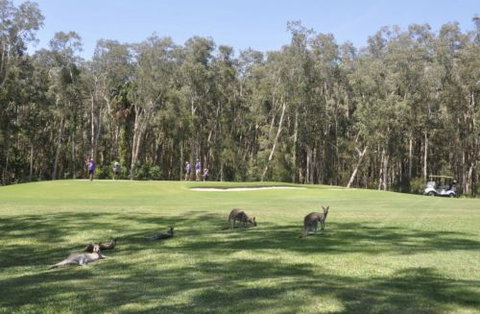Emerald Downs Golf Course - Kingaroy Accommodation 4