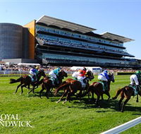 Royal Randwick Racecourse - Kingaroy Accommodation