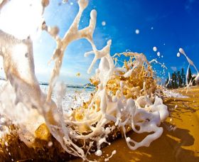 Saltmotion Gallery - Kingaroy Accommodation 1