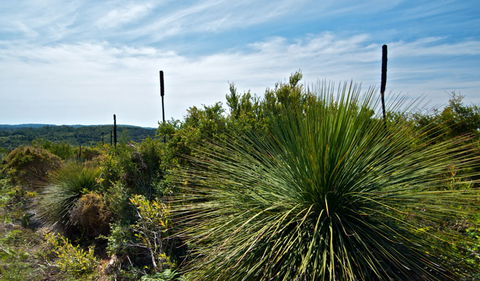 Munmorah State Conservation Area - Kingaroy Accommodation 1