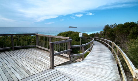 Tea Tree Picnic Area And Lookout - Kingaroy Accommodation 0