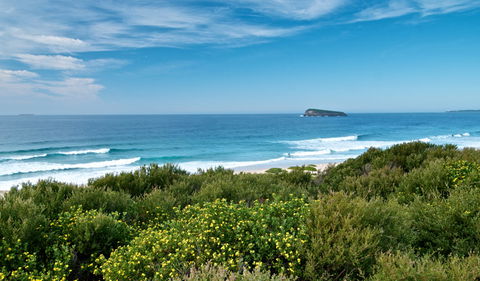 Tea Tree Picnic Area And Lookout - Kingaroy Accommodation 3