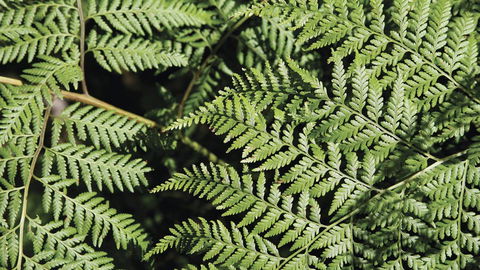 Glenrock State Conservation Area - Kingaroy Accommodation 3
