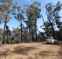 Wadbilliga Road drive - Kingaroy Accommodation