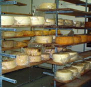 Harvey Cheese - Kingaroy Accommodation