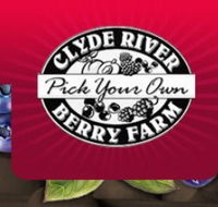 Clyde River Berry Farm - Kingaroy Accommodation