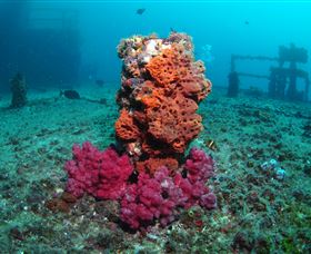 HMAS Brisbane Dive Site - Kingaroy Accommodation 0