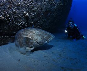 HMAS Brisbane Dive Site - Kingaroy Accommodation 3