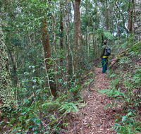 Blackbutt walking track - Kingaroy Accommodation