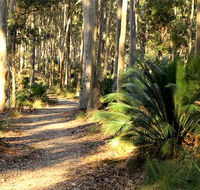 Square Head track 2 - Kingaroy Accommodation