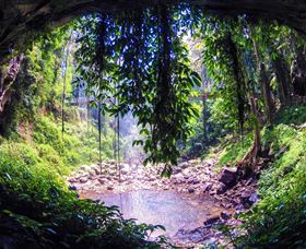 Dorrigo Rainforest Centre - Kingaroy Accommodation 1