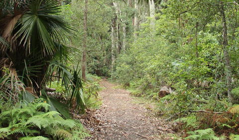 Lake Walking Track - Kingaroy Accommodation 0