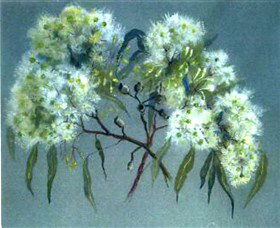 Norma Holt Studio Gallery - Kingaroy Accommodation 1