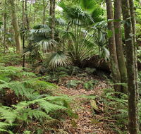 Durras Lake Discovery trail - Kingaroy Accommodation