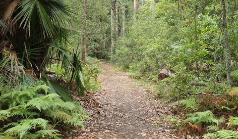 Durras Lake Discovery Trail - Kingaroy Accommodation 1
