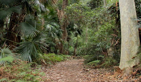 Durras Lake Discovery Trail - Kingaroy Accommodation 2