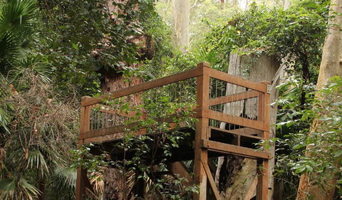 Durras Lake Discovery Trail - Kingaroy Accommodation 3