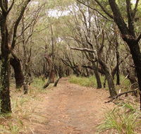 Pretty Beach to Snapper Point walking track - Kingaroy Accommodation