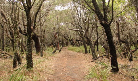 Pretty Beach To Snapper Point Walking Track - Kingaroy Accommodation 0