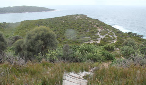 Pretty Beach To Snapper Point Walking Track - Kingaroy Accommodation 2