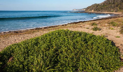 Richmond Beach - Kingaroy Accommodation 0
