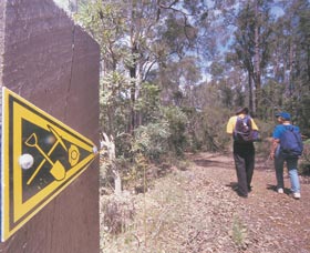 Greenbushes Loop - Kingaroy Accommodation 1