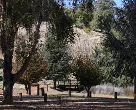 Oak Grove Walk, Balingup - Kingaroy Accommodation 2