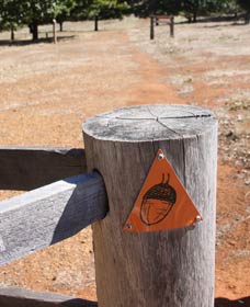 Oak Grove Walk, Balingup - Kingaroy Accommodation 3