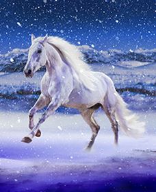 Australian Outback Spectacular: High Country Legends - Kingaroy Accommodation 1