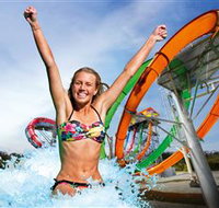 Wet'n'Wild Gold Coast - Kingaroy Accommodation