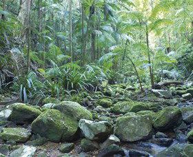 Rocky Creek Dam - Kingaroy Accommodation 5