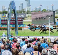 Gold Coast Turf Club - Kingaroy Accommodation