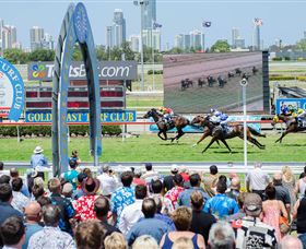 Gold Coast Turf Club - Kingaroy Accommodation 0