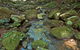 Whian Whian State Conservation Area - thumb 3