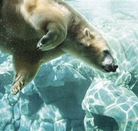 Australia's Sea World - Kingaroy Accommodation