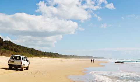 Bongil Bongil National Park - Kingaroy Accommodation 0