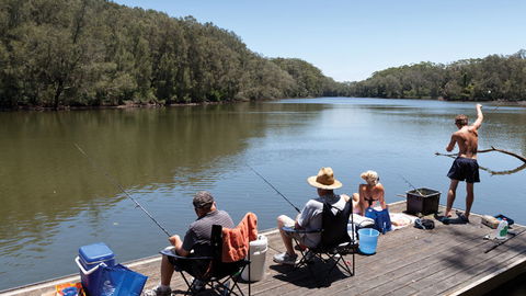 Bongil Bongil National Park - Kingaroy Accommodation 1