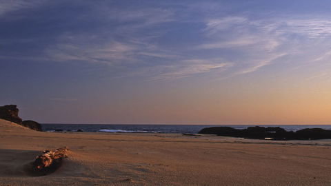Bongil Bongil National Park - Kingaroy Accommodation 2