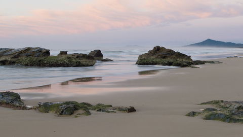 Bongil Bongil National Park - Kingaroy Accommodation 3