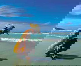 Hallidays Point NSW Kingaroy Accommodation